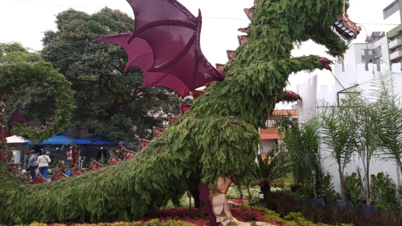 Floricultura: la flor más bella brillo en Jujuy con su XV edición