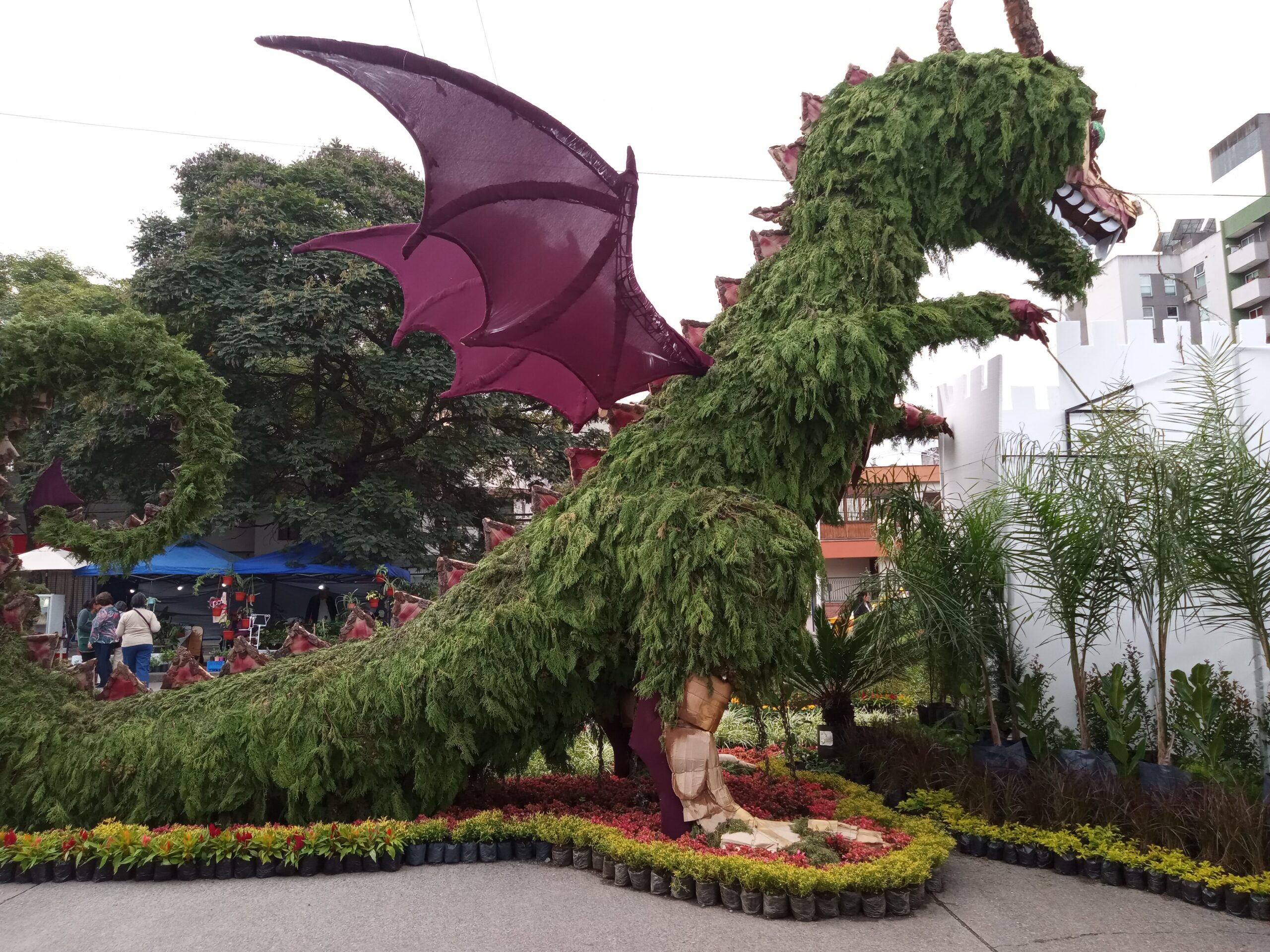 Floricultura: la flor más bella brillo en Jujuy con su XV edición