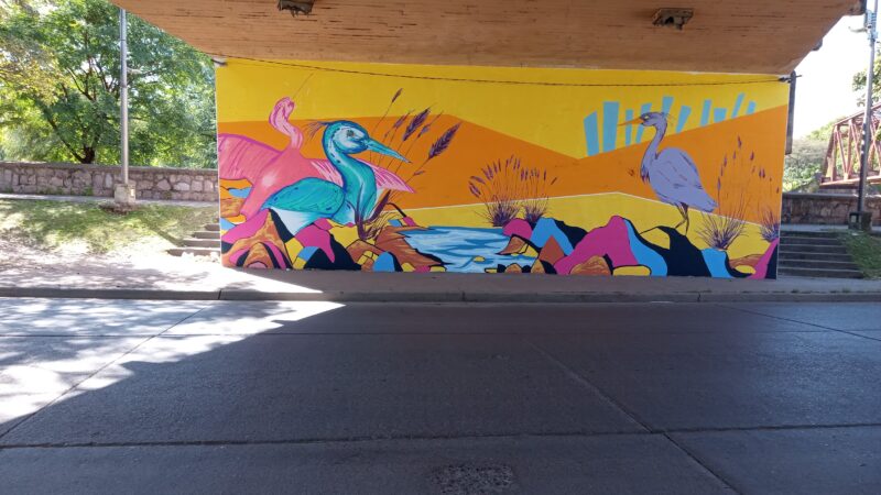 Murales que transforman la ciudad: color, memoria y comunidad en La Tacita de Plata