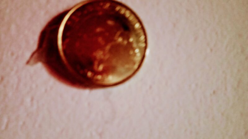 Paridad de género y piso electoral: las dos caras de una elección clave