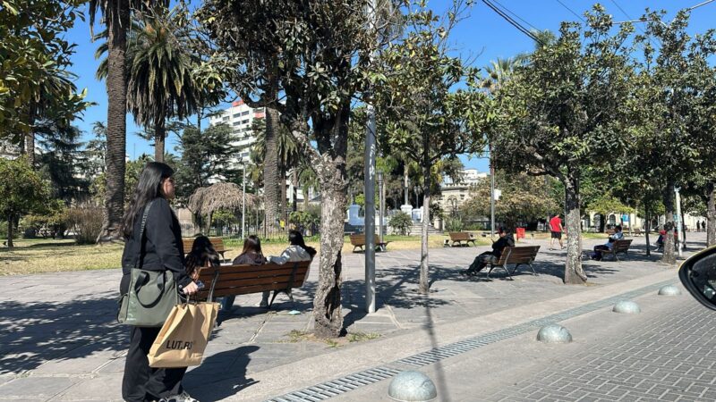 Inflación si , inflación no .números oficiales de la canasta familiar