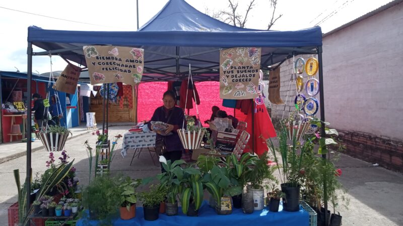 Patricia, la vendedora de plantas que sostiene a su familia desde hace más de 30 años