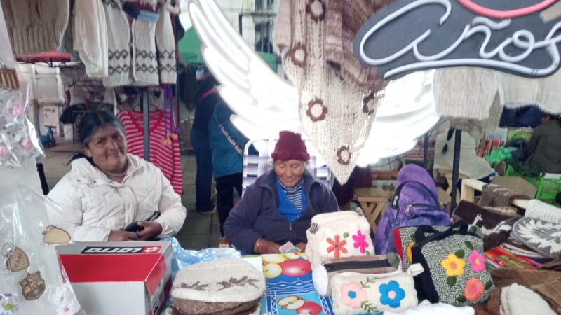 Erotida Pucha: 75 años, manos que tejen la historia de Jujuy