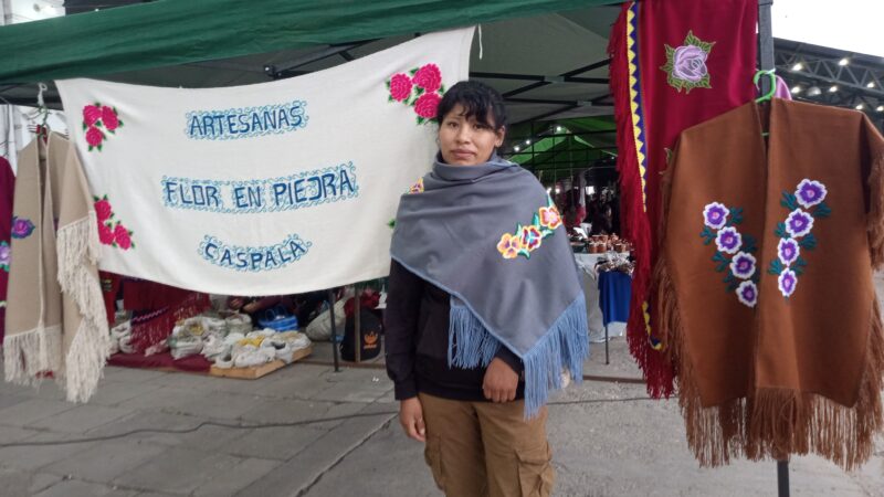 Flor en  Piedra: saberes ancestrales y producción artesanal desde Caspalá