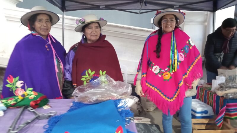 Flor de Durazno”: siete mujeres que tejen un futuro entre colores y paisajes