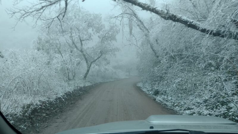 Los Paños se viste de blanco