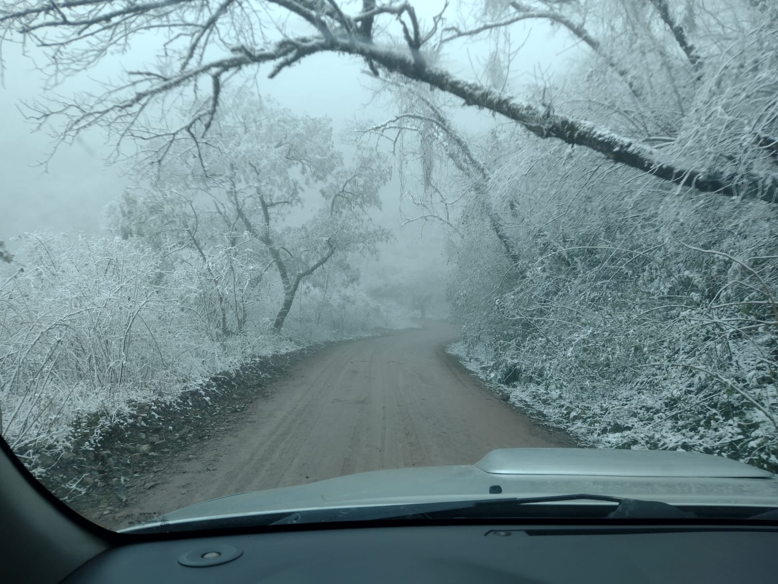 Los Paños se viste de blanco