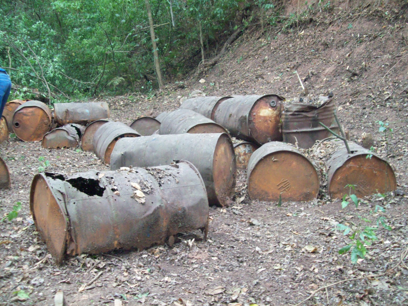 La Corte ordena frenar la explotación petrolera en el Parque Nacional Calilegua