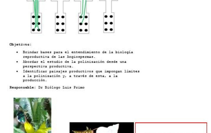 Formación académica en la UNJu