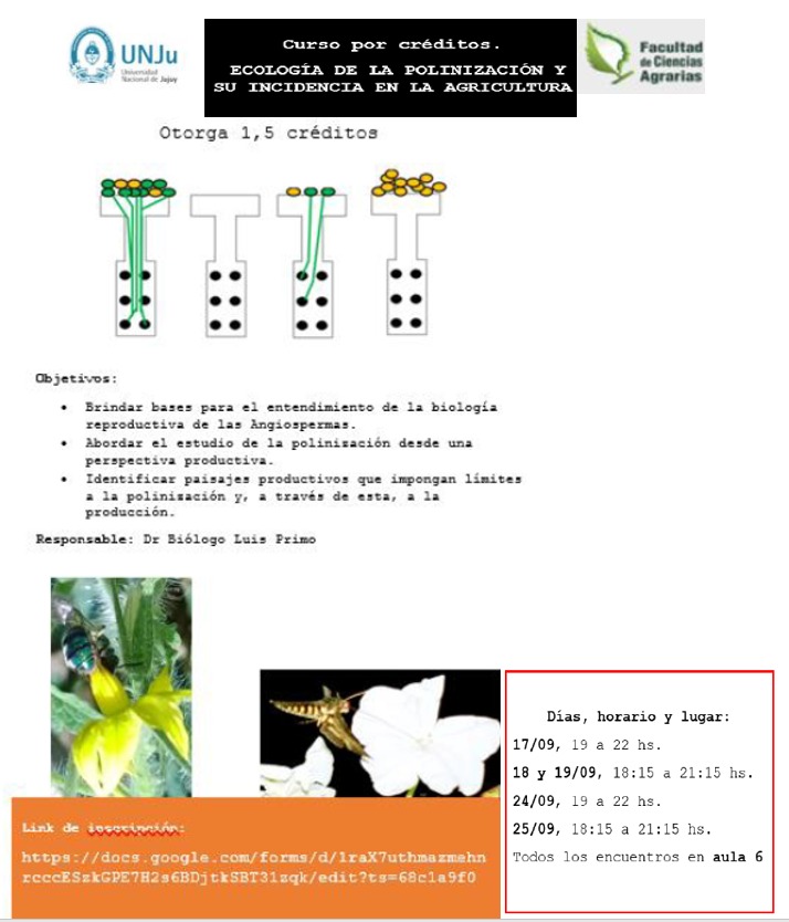 Formación académica en la UNJu