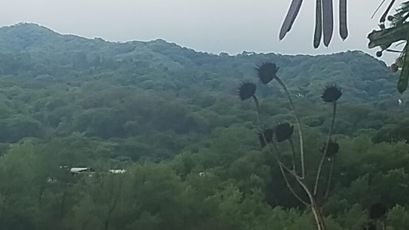 Vecinos advierten riesgos por movimientos en el cauce