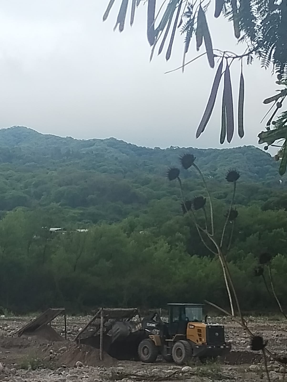 Vecinos advierten riesgos por movimientos en el cauce