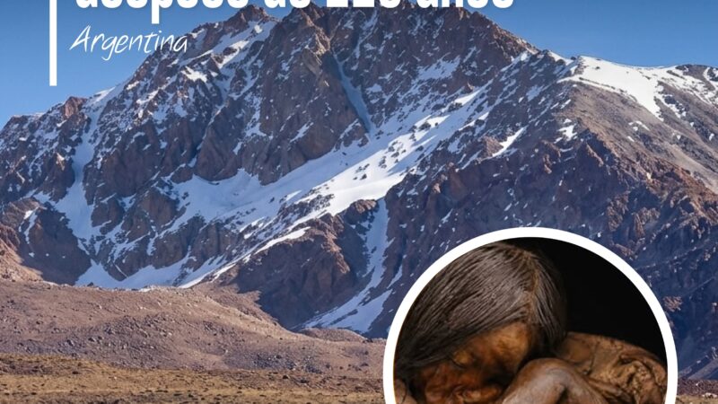 Después de 119 años, el Niño del Chañi volverá a Jujuy: el regreso del “ancestro” reclamado por comunidades kollas