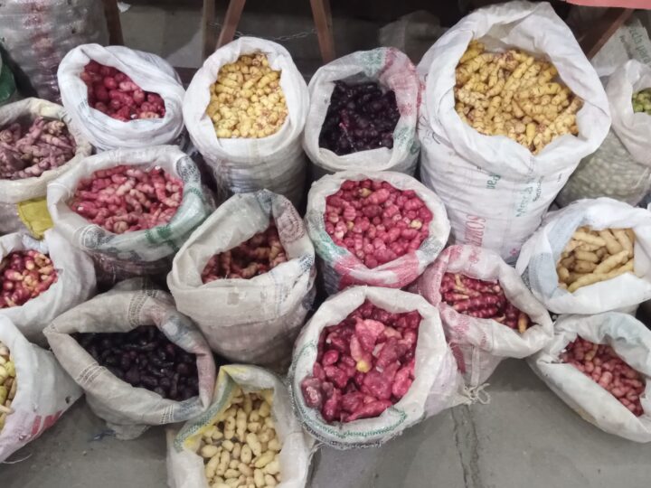 Llega una nueva edición de la Feria Campesina en la Vieja Estación con productos regionales de las cuatro regiones de Jujuy