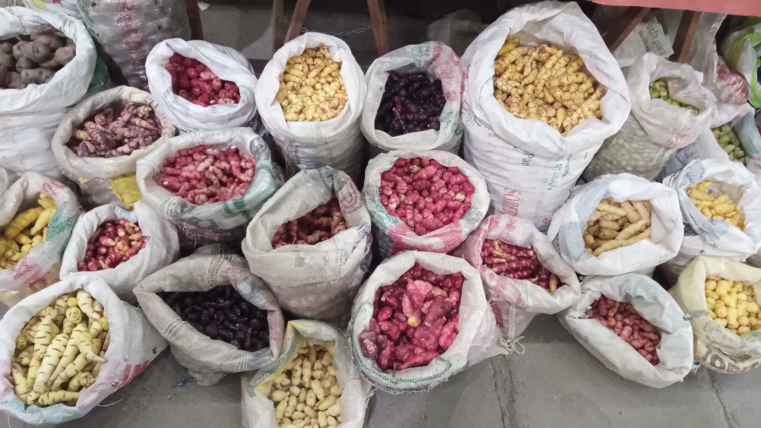 Llega una nueva edición de la Feria Campesina en la Vieja Estación con productos regionales de las cuatro regiones de Jujuy
